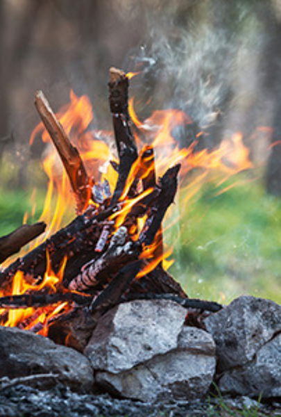 Fireside Chats: Maple + Moss + Smoke