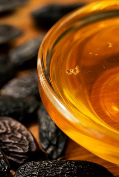 Honey Haze: Bergamot + Coriander + Dark Musk