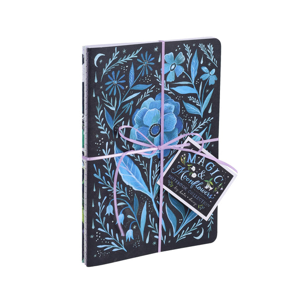 Katie Daisy Nature at Night set of three illustrated stitched notebooks with moon and nighttime nature artwork