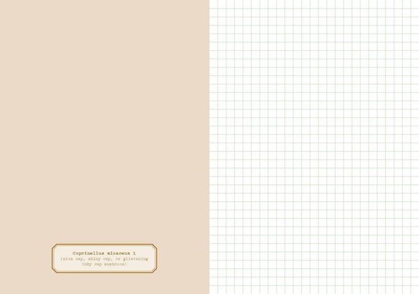 Notebook with beige cover and grid pattern on white background