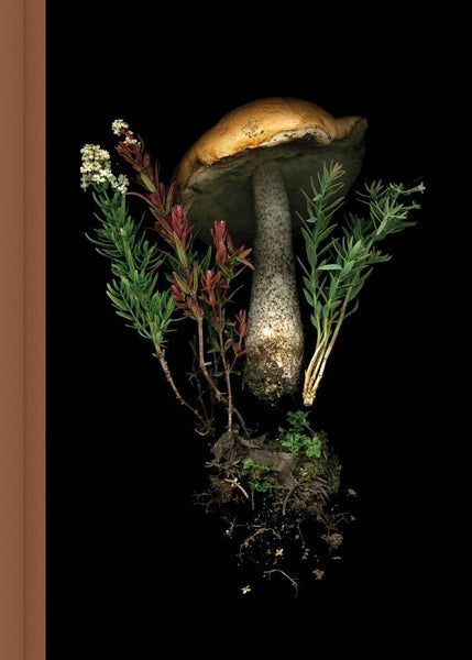 Deep Dark Forest mushroom and nature hardcover journal with fungi, moss and fern photography