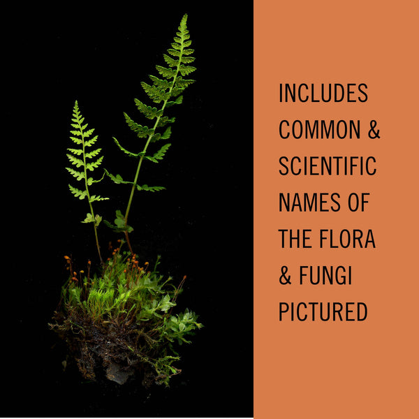 Fern and moss on a black background with text about flora and fungi names.