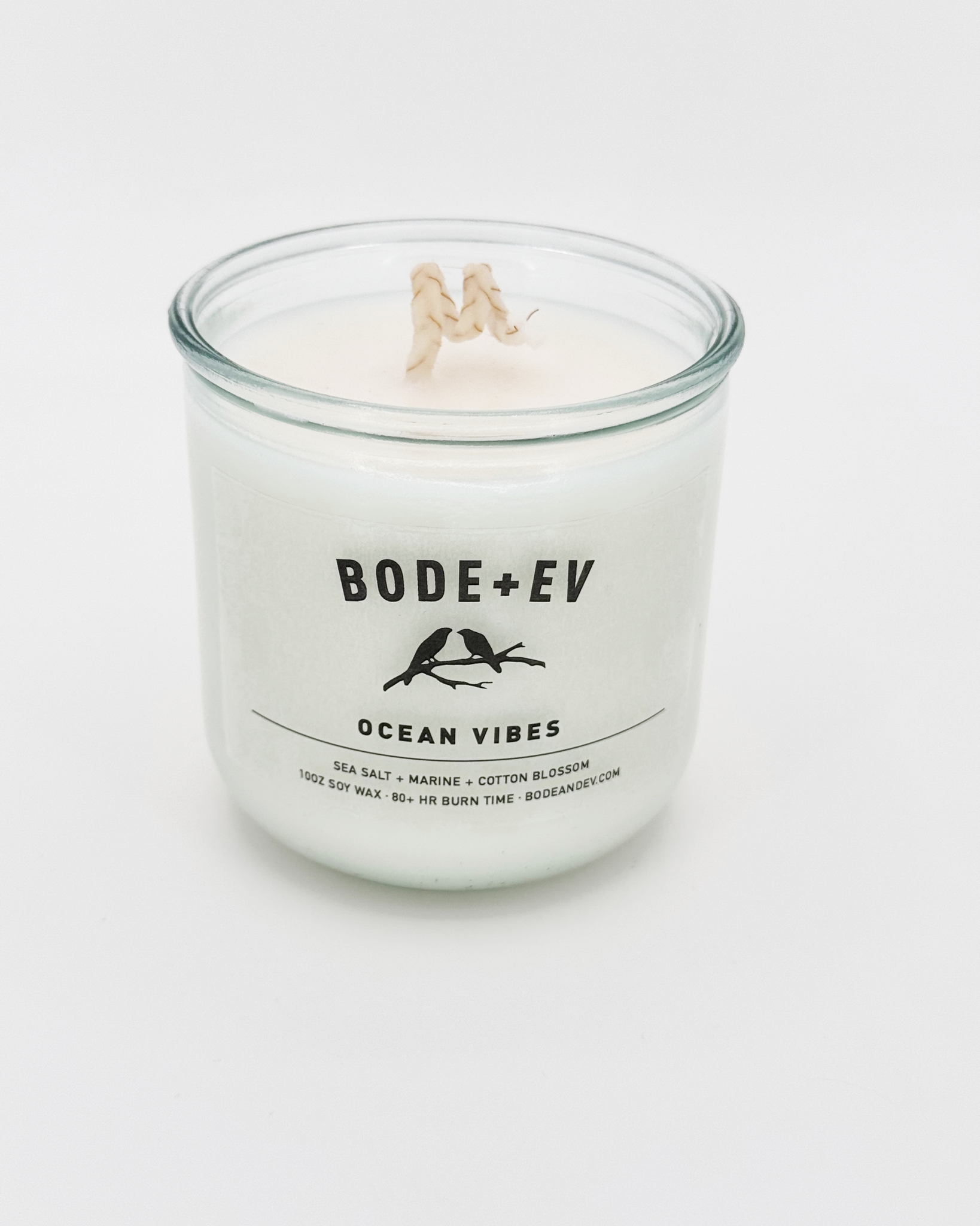 Ocean Vibes: Sea Salt + Marine + Cotton Blossom