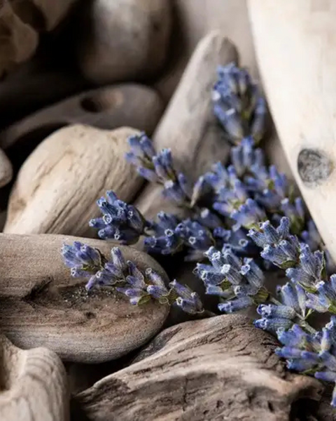 Midnight Surf: Marine + Lavender + Cedar