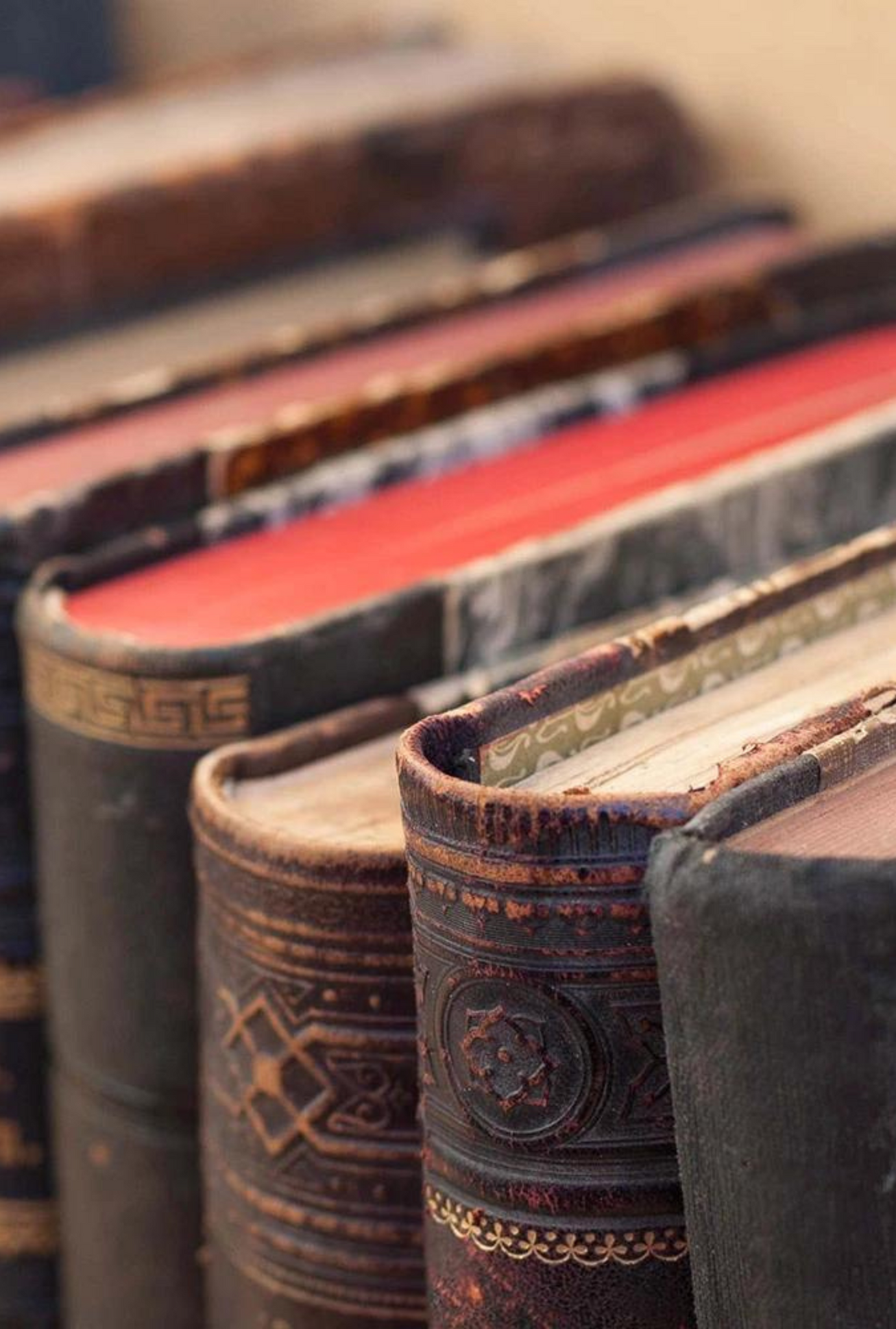 BE.CANDLES: 12oz Soy Wax + Coconut Oil - Aged Books